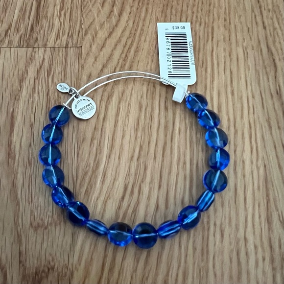 Alex and Ani Sapphire Luxe Bracelet - Picture 1 of 2
